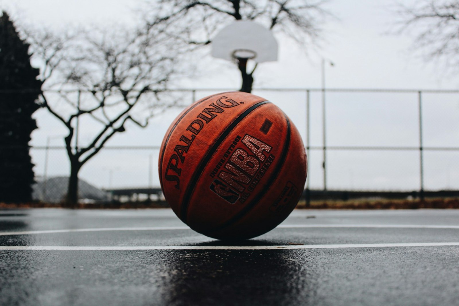 FIBA 유럽 농구 우승·본선 진출 배당 개념