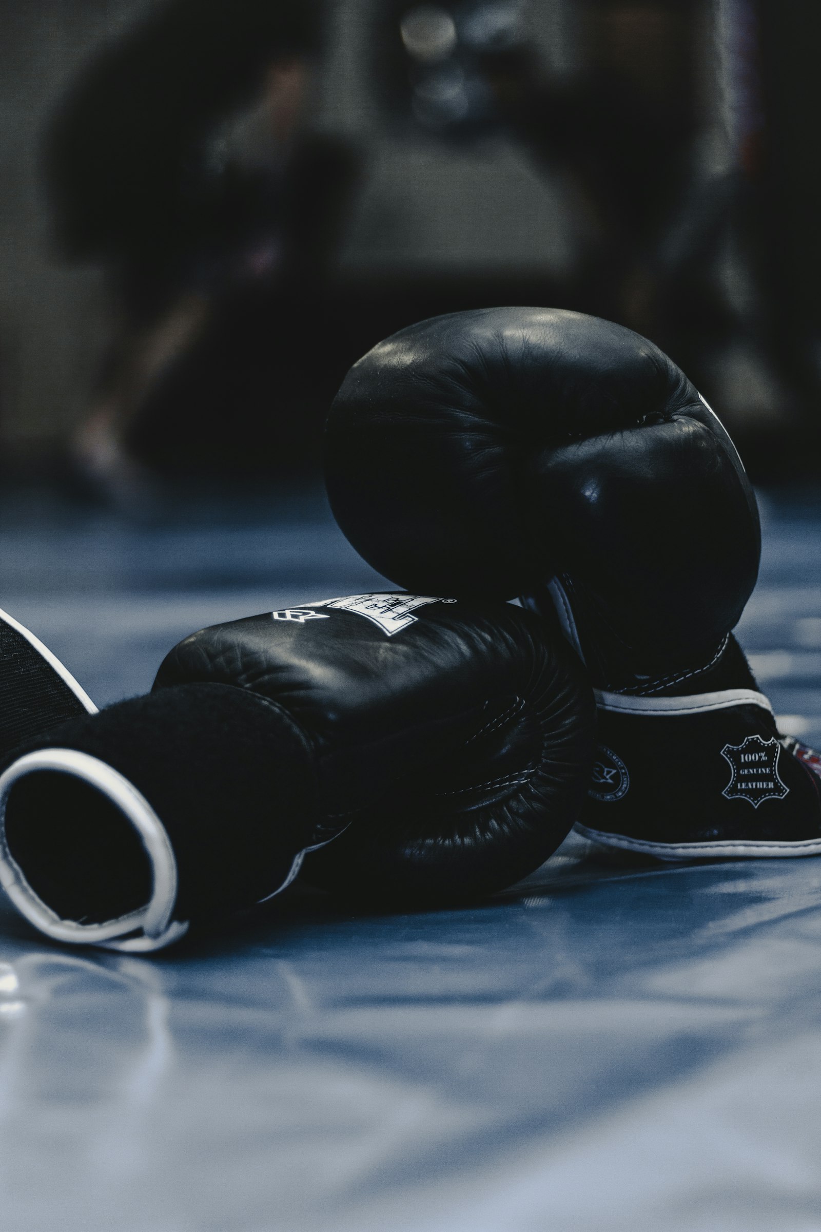 UFC 상하이 bantamweight 옥타곤 대결 장면