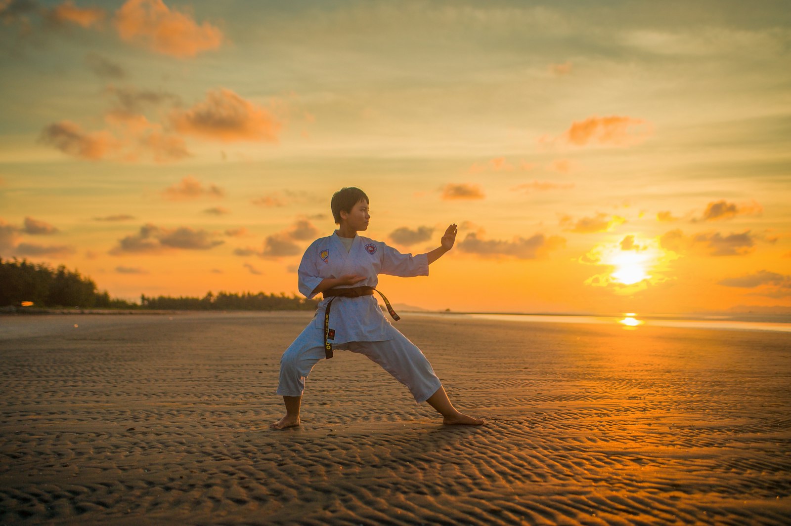 mma sports photo